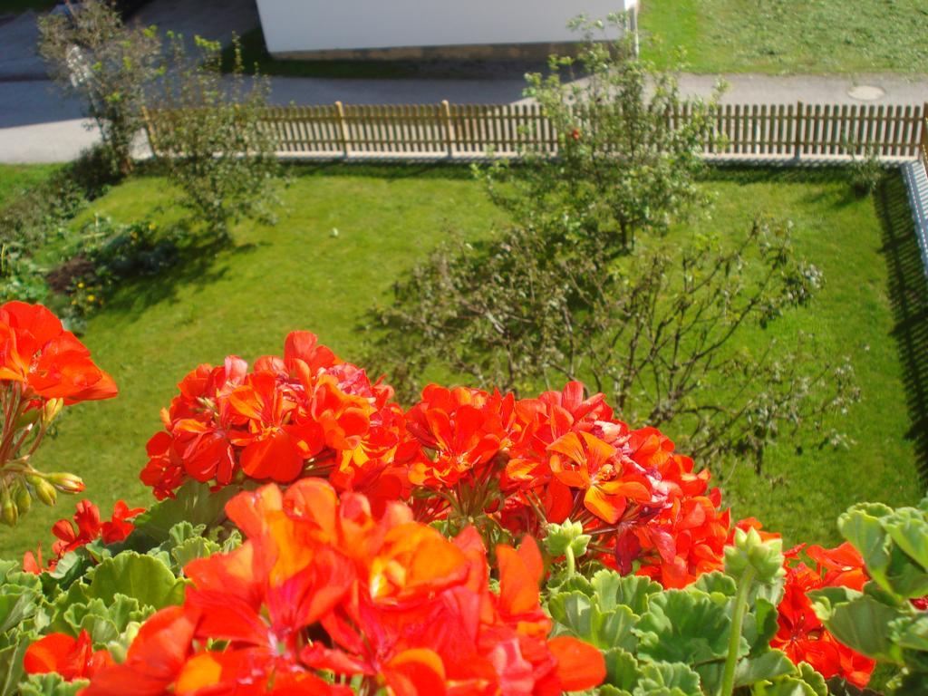 Apartament Haus Bianca Stumm Zewnętrze zdjęcie